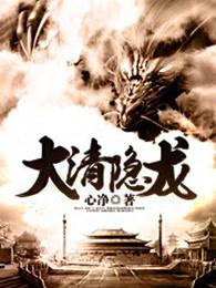 大清隐龙完整版